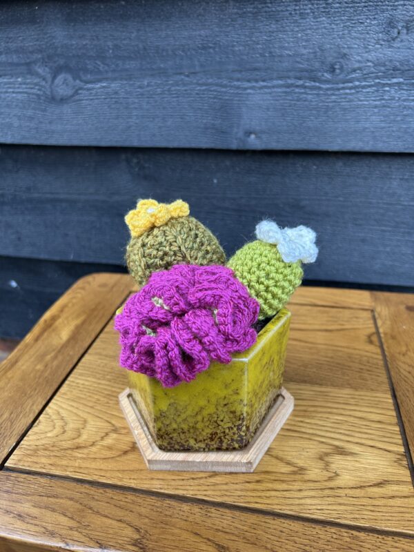 Hexagon Ceramic Cactus - Mustard