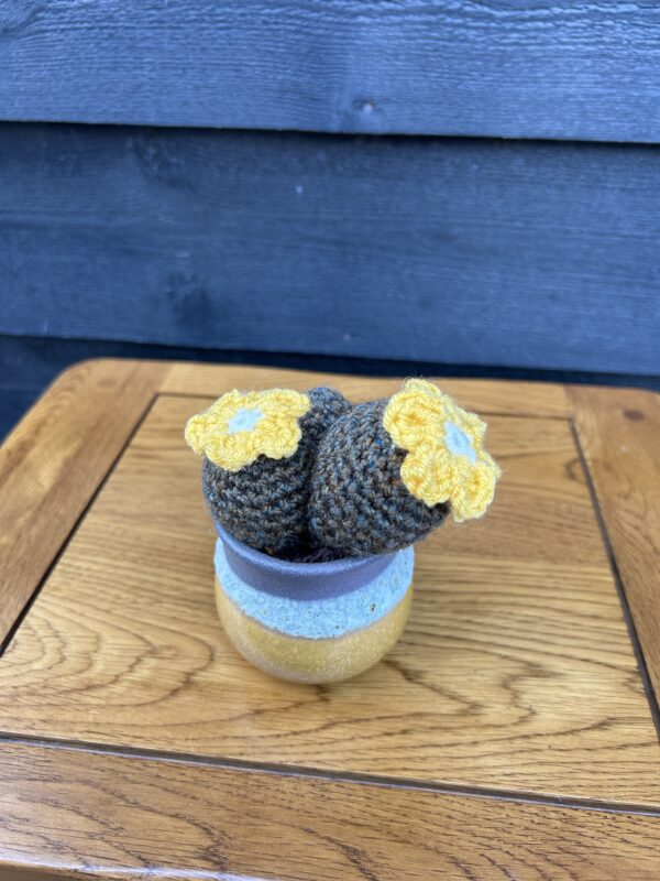 Medium cactus - yellow urn