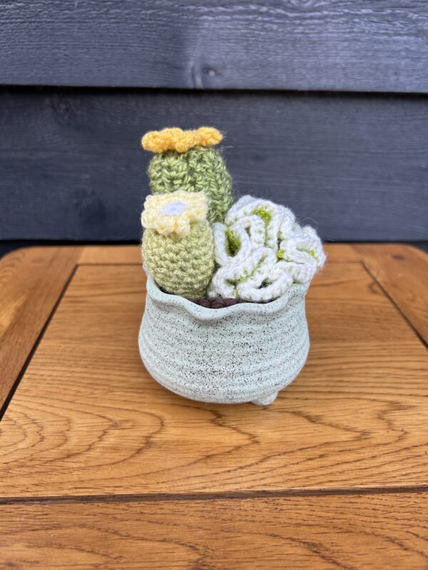 Medium cactus - green textured