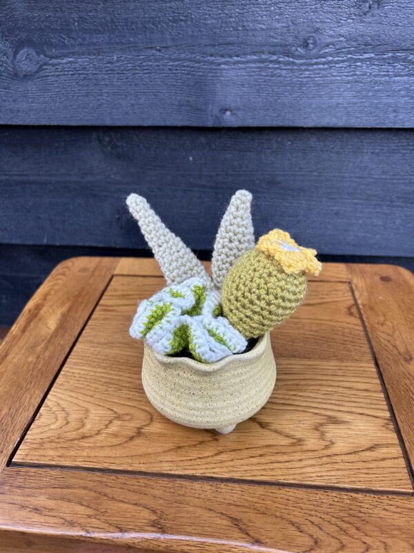 Medium cactus - yellow textured