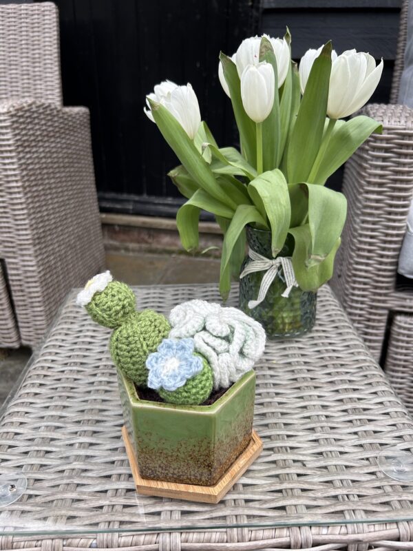 Hexagon ceramic cactus - green