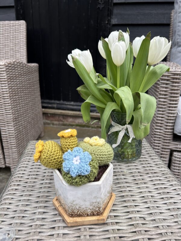 Hexagon cactus - white