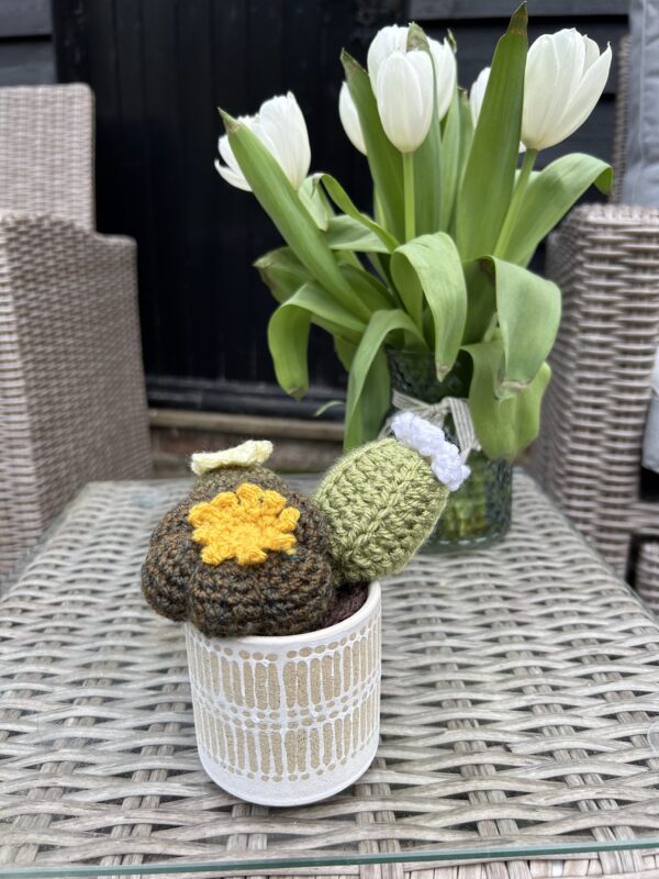 Cream/sand cactus pot