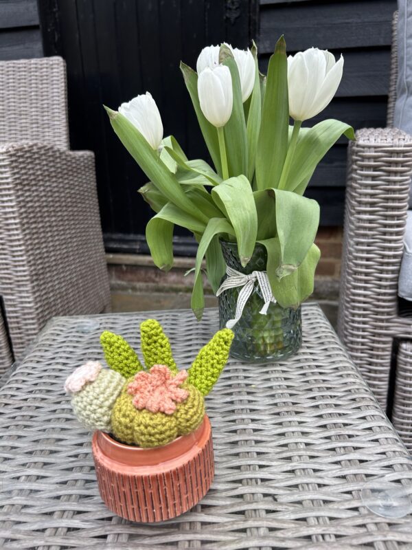 Terracotta glazed cactus