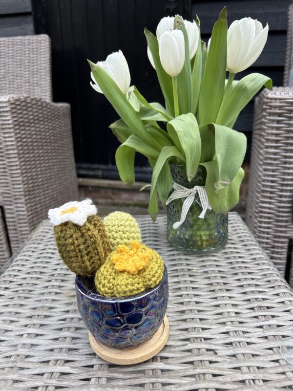 Navy Tortoiseshell glazed cactus