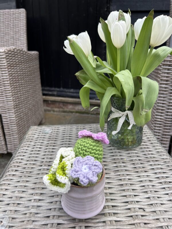 Pastel Pot Cactus - Lilac