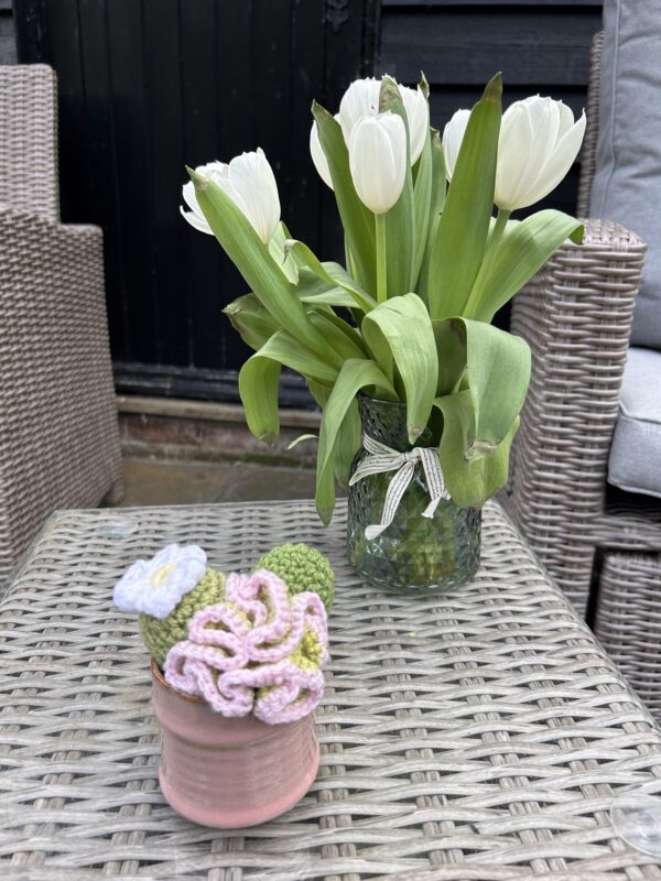 Pastel Pot Cactus - Pink