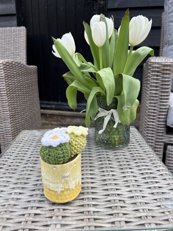 Zamora Cactus - Yellow