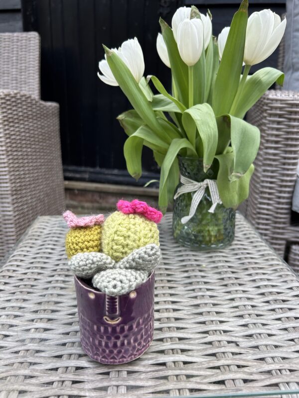 Zamora Cactus - Purple