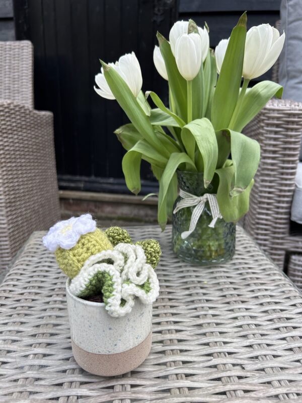 Natural Two Tone Cactus Pot - sand/blues