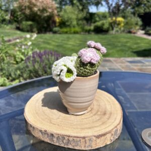 Fergus Natural Cactus