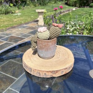 Bronze/ Grey Cactus