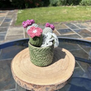 Green Leaf Cactus