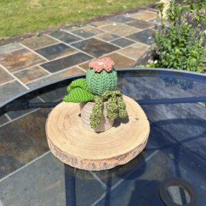 Natural Textured Cactus