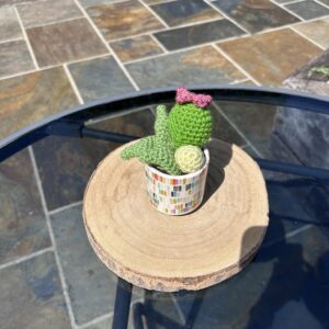 Art Attack Cactus