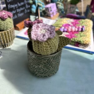 Leaf textured cactus