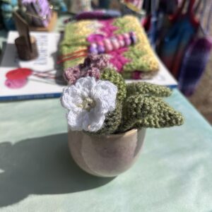Cream/pink stripe cactus