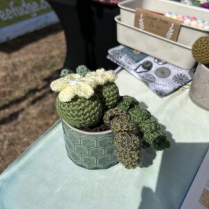 Retro hexagon cactus