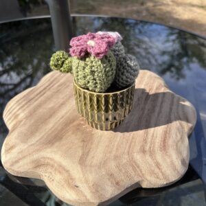 Lauria olive retro cactus