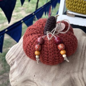 Medium ribbed pumpkin
